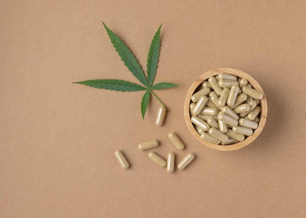 Quels sont les différents produits issus du CBD ?