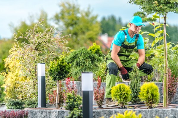 Quels sont les facteurs à considérer pour l'entretien à long terme d'un jardin aménagé par un paysagiste ?